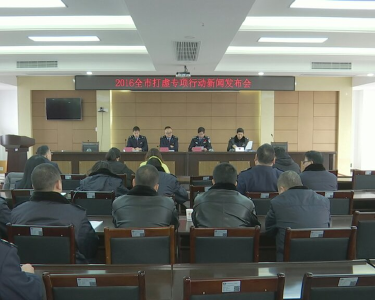 我市破获虚开增值税专用发票案91起 最大涉案12.17亿元