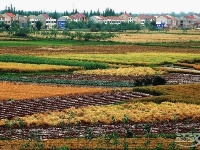 荆江岸边美家园