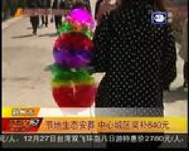 节地生态安葬 中心城区奖补840元