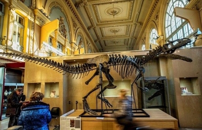 霸气买买买 法国买家拍下7米长恐龙骨架化石