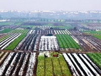 荆江岸边美家园