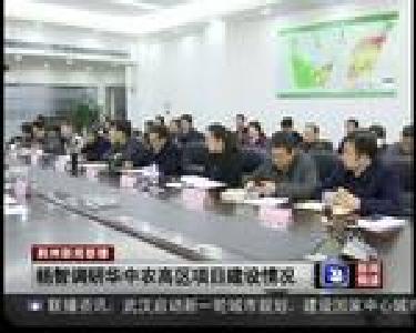 杨智调研华中农高区项目建设情况