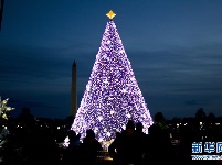 世界各地迎圣诞 