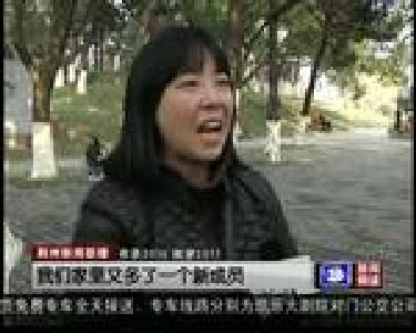 收获2016 展望2017