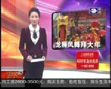 大年初一 龙狮凤舞拜大年