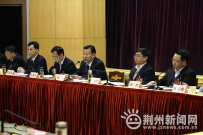 杨智参加经济、科协、科技界联组讨论