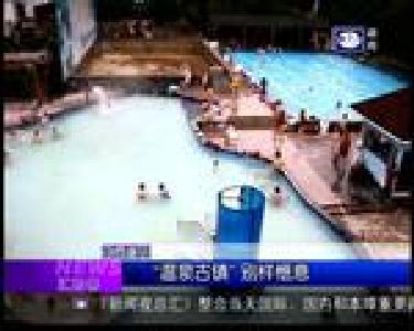 汇拍客：另类友谊 小狗解救被困猫