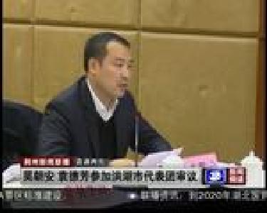 吴朝安 袁德芳参加洪湖市代表团审议