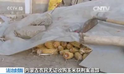 收玉米不用“证”了 获刑的内蒙古农民会改判无罪吗？