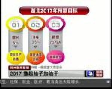 2017 撸起袖子加油干