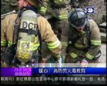 国际新闻：狗拉雪橇赛进入冲刺阶段