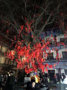 除夕夜赶庙会章华寺里人山人海 许愿钟声响不停