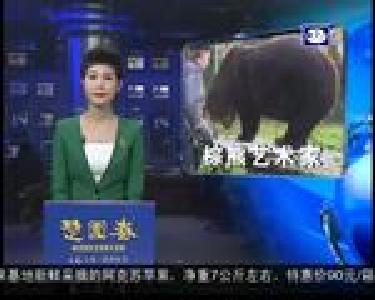 国际新闻：“布林奇”文化节缤纷上演