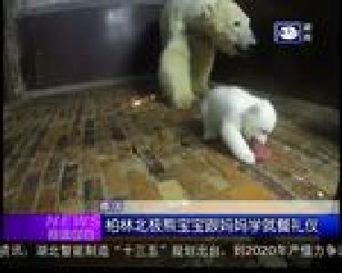 国际新闻：鲨鱼群舞吸引民众观赏