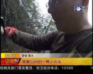 宜昌市：春天的约定 一起山里去踏青