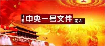 2017中央一号文件发布，事关八亿人！
