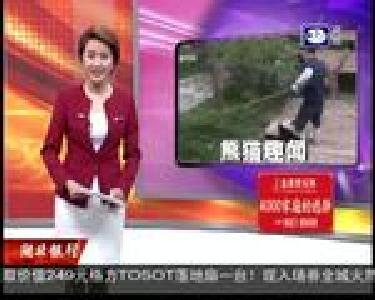 熊猫喜欢抱大腿 萌得让人找不着北