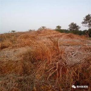 荆州这些地方入围“湖北最美地名”评选，你都听说过吗？