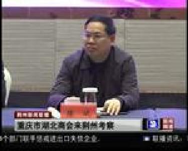 杨智与重庆市湖北商会考察团座谈 共商合作事宜
