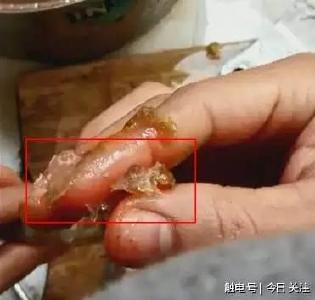 注水肉后又现注胶虾！这虾你敢吃吗？