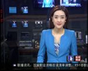 中德生态城规划方案汇报会召开