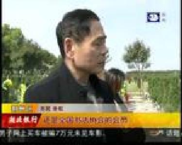 怀念父亲 句句箴言指引前行