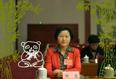 把“两会声音”画进照片