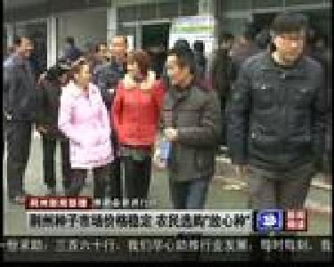 荆州种子市场价格稳定 农民选购“放心种”