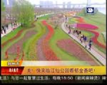 美！快来临江仙公园看郁金香吧！