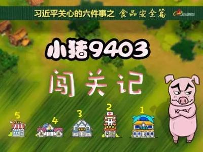 从出生到餐桌……小猪9403的闯关“猪生”！