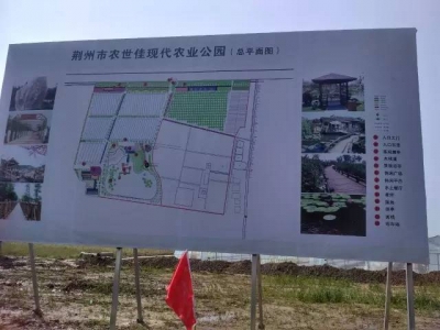 智慧农业+动物乐园+生态湖+花海+……荆州首家农业公园将在弥市镇“诞生”