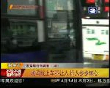 斑马线上车不让人 行人步步惊心