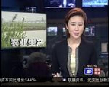 清沟排渍抢晴天 预防农作物病害