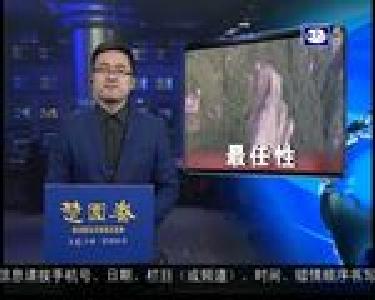 最新闻：万人下河捉“神鱼”场面壮观