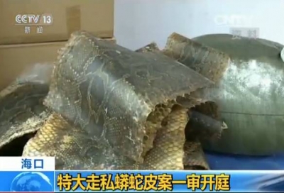 走私这种东西 这家公司竟然逃税超600万 走私金额过7个亿 