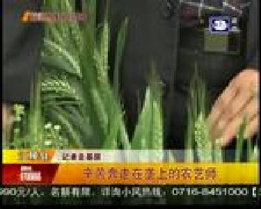 江陵县：辛苦奔走在垄上的农艺师