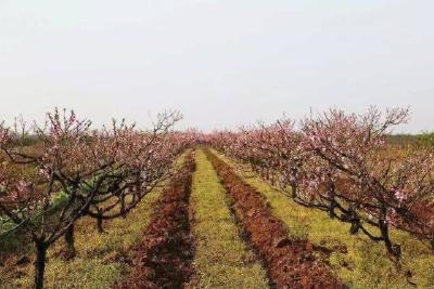 湖北要给200个村发1000万奖金 荆州18个村子中奖！
