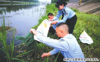 荆州森林公安突查水产品收购点 收缴一批野生动物