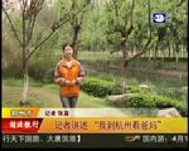 记者讲述“我到杭州看爸妈”