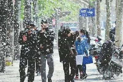 杨柳絮漫天飞，如何防范“四月雪”？