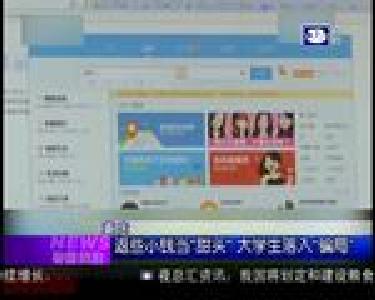 特别关注：大学生网上兼职刷单