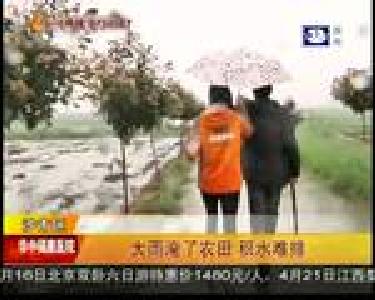 大雨淹了农田 积水难排
