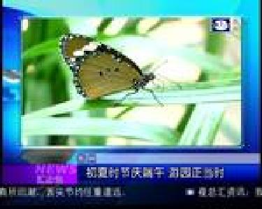 汇身边：武汉同济协和取消药品加成
