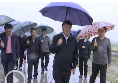 杨智冒雨检查马子湖围堤加固除险备汛