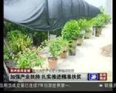 加强产业扶持 扎实推进精准扶贫