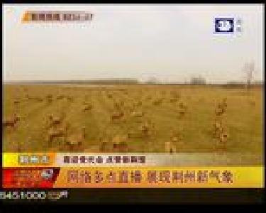 网络多点直播 展现荆州新气象