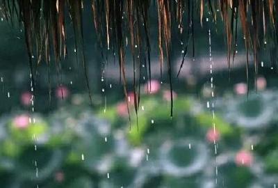 湖北9日进入梅雨期 后天将迎新一轮降雨过程