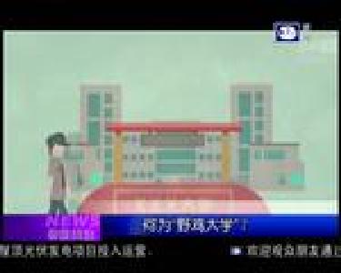 特别关注：381所“野鸡大学”遭曝光