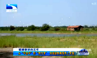 从“竿连竿”到“浪打浪” 洪湖湿地再现水上天堂