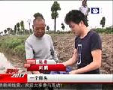 记者农时体验 泥地学抛秧